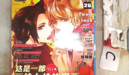 同人志-漫画,穿越时空的奇幻冒险之旅